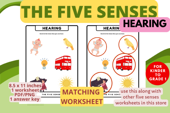 Download Sense of Hearing Matching Worksheet(K-1) - Premium Resources